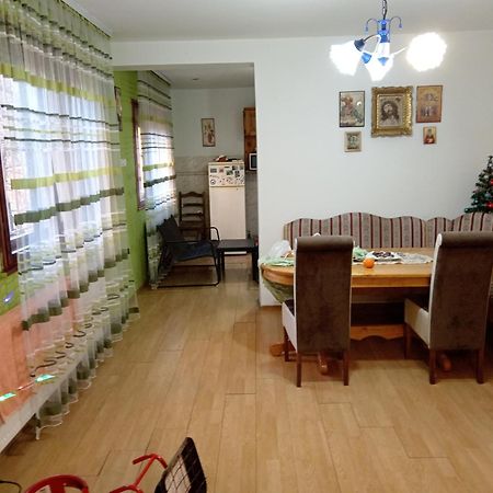 Apartman Zivic Berilovac エクステリア 写真