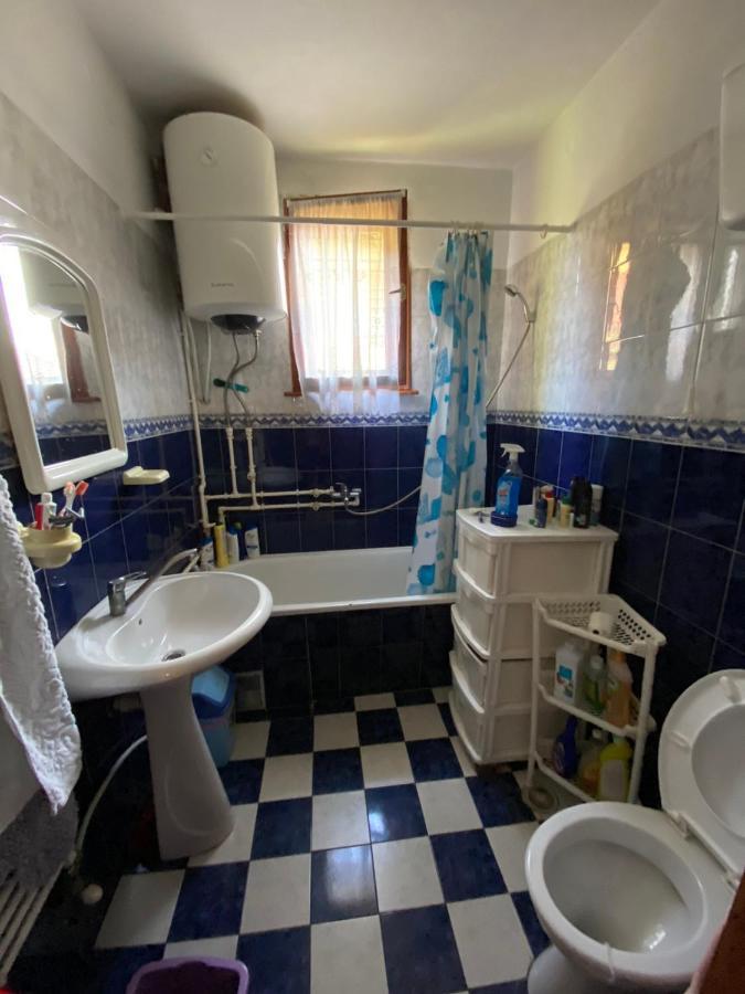 Apartman Zivic Berilovac エクステリア 写真