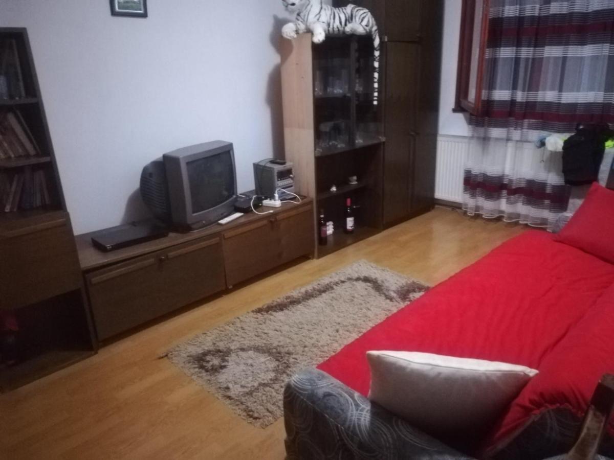 Apartman Zivic Berilovac エクステリア 写真